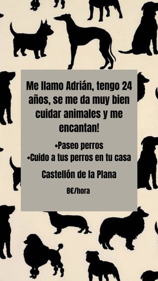 Paseador/Cuidador de perros