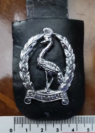 Pepito insignia placa militar policia