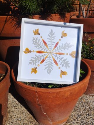 Cuadro botánico artesanal