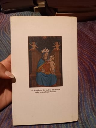 Libro "guida del duomo di milano"