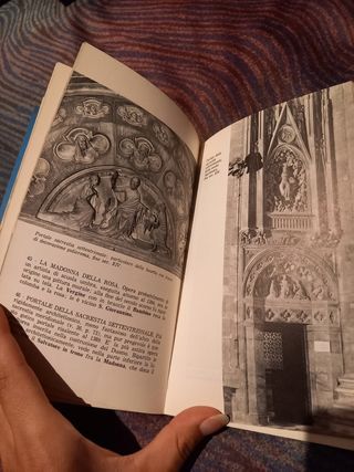 Libro "guida del duomo di milano"
