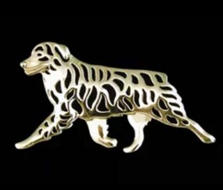 Broches de perro Pastor Australiano.