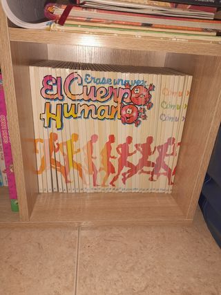 Colección cuerpo humano