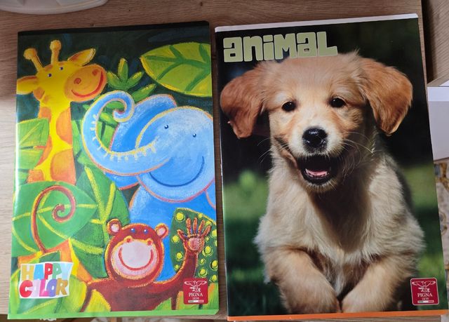 set di quaderni Pigna