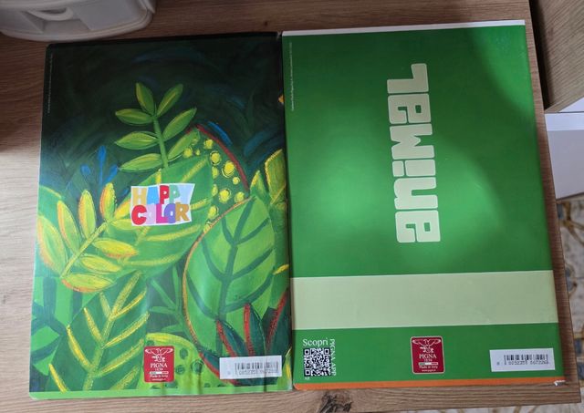 set di quaderni Pigna