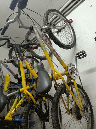 Bicicleta Monty Celta 405