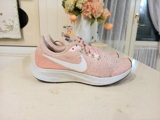 Nike zoom pegasus