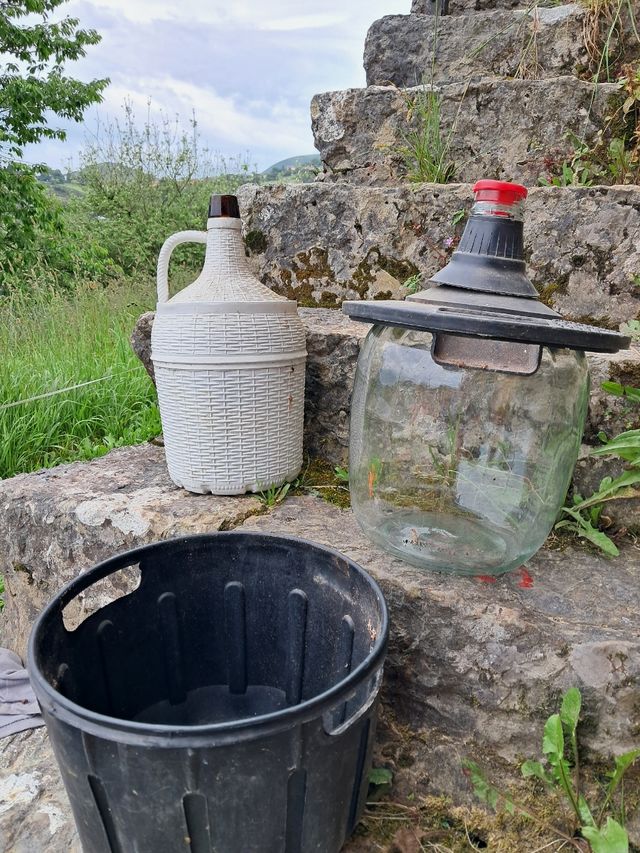 Lote de Dama Juana (dos piezas)