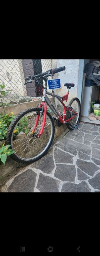 Bicicletta Mountain Bike 
