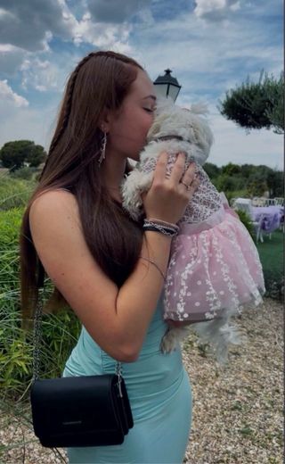 Paseador de perros