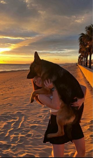 Paseador de perros