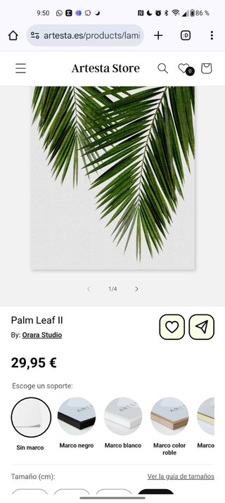 Pack 3 Cuadros Minimalistas Palmeras Calidad