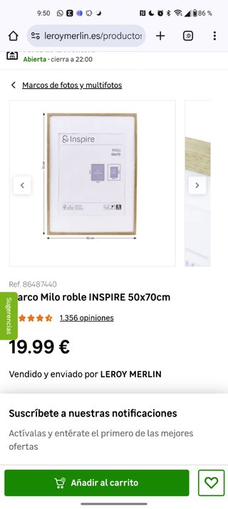 Pack 3 Cuadros Minimalistas Palmeras Calidad