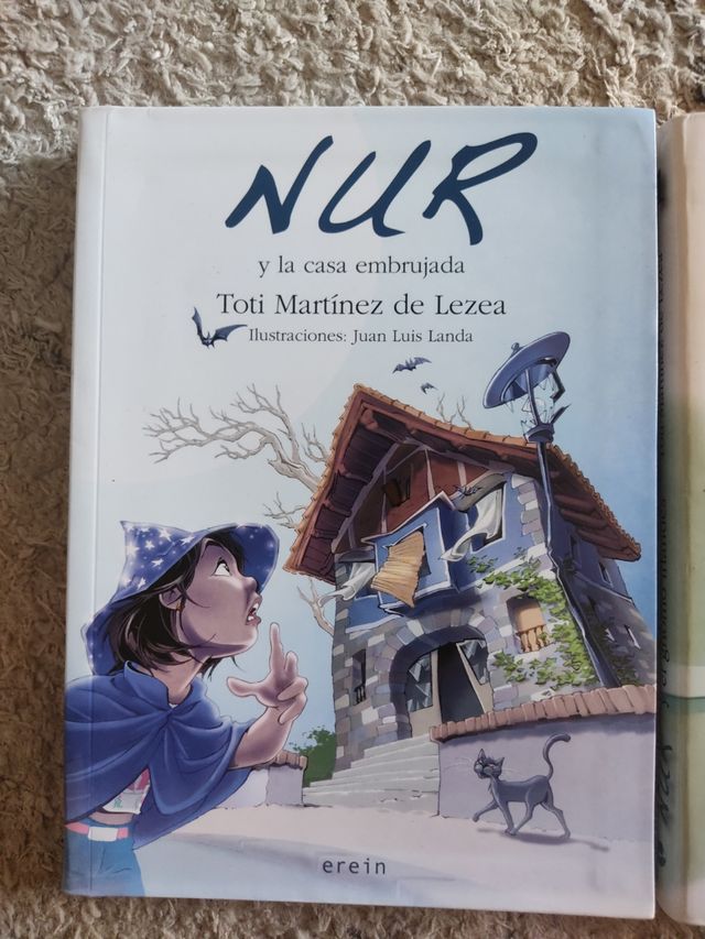 Libros lectura Nur, Toti Martínez de Lez