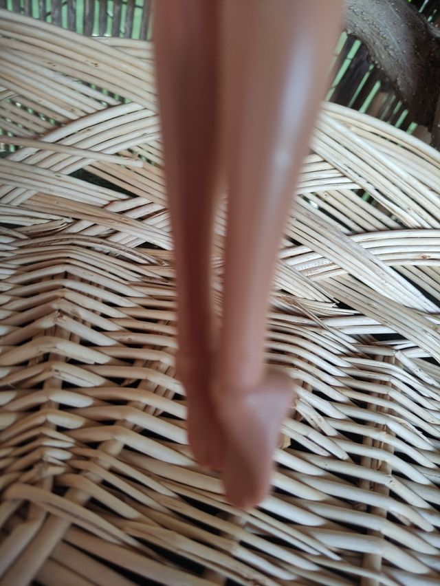 Barbie surfista y sirena