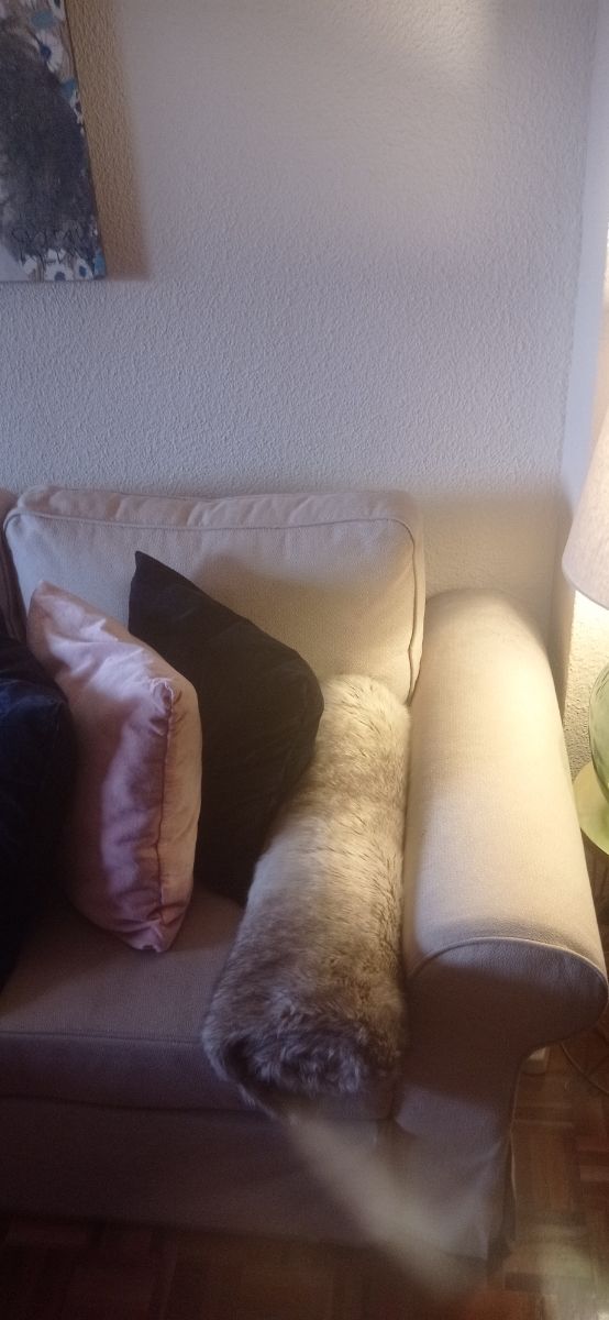 Sofa cama Backabro Change lounge