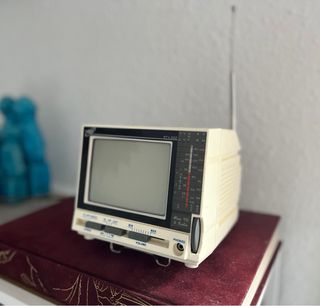 Mini Tv y Radio antigüa