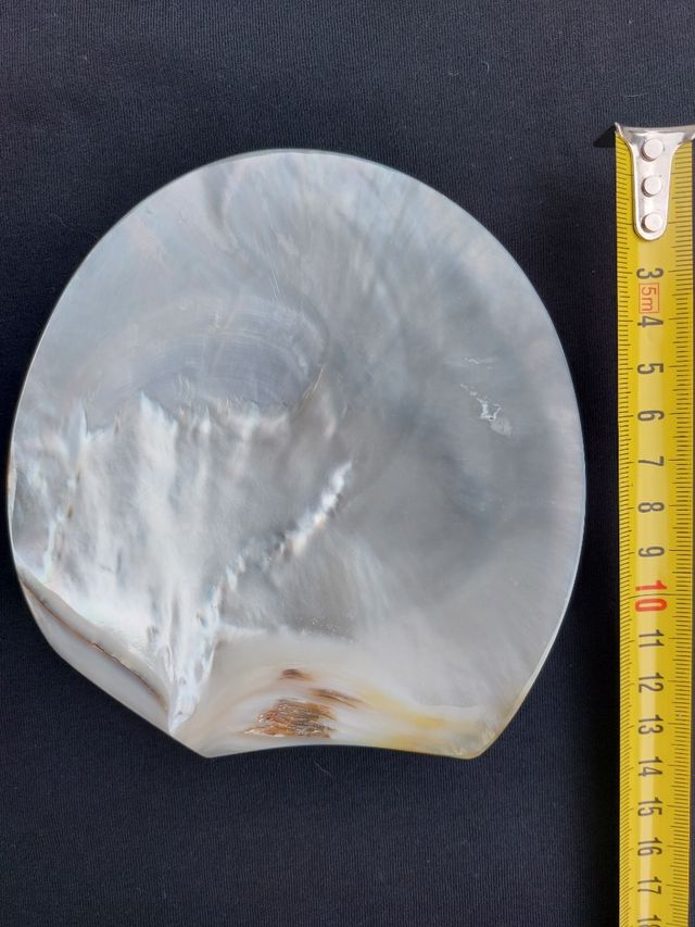 OGGETTI MADREPERLA RICORDO POLINESIA