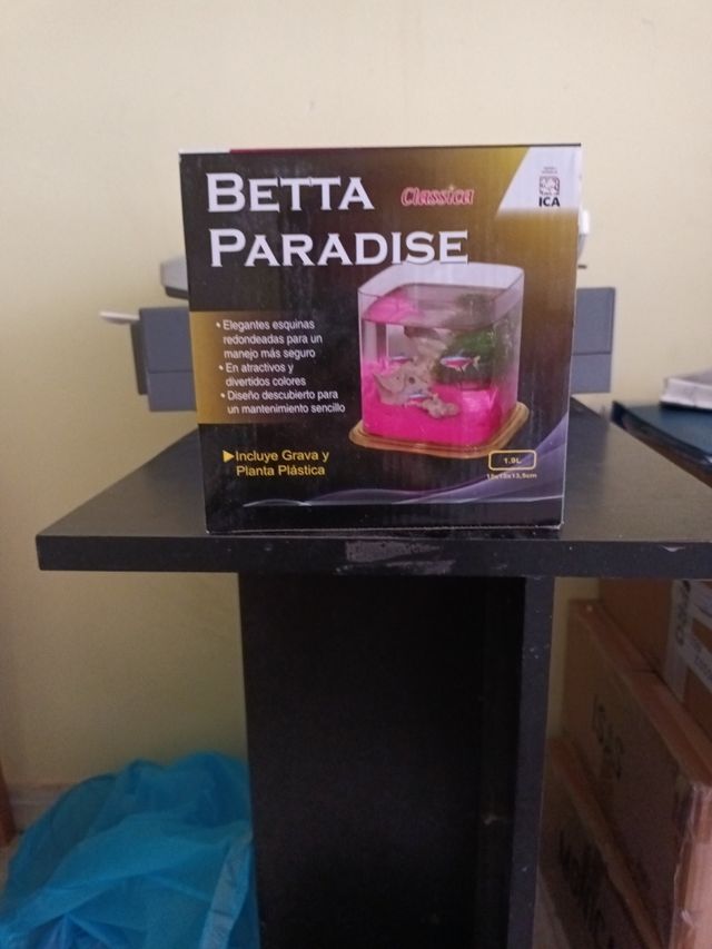 Pecera para peces betta