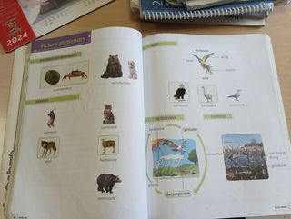 Natural Science 2 Primaria Anaya 9788469862797