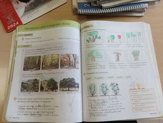 Natural Science 2 Primaria Anaya 9788469862797