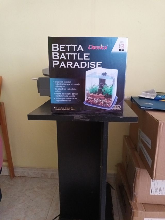 Pecera peces betta
