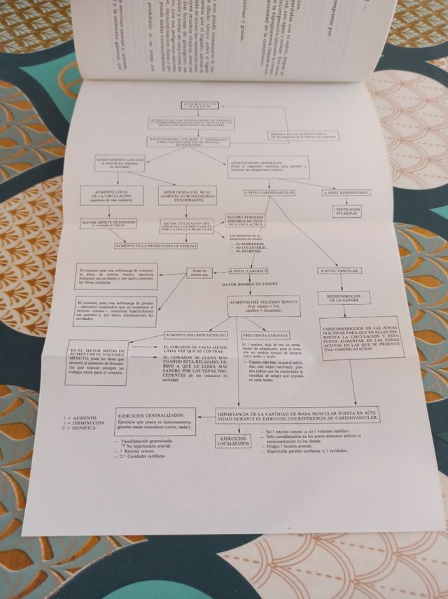 Manual Pruebas Físicas