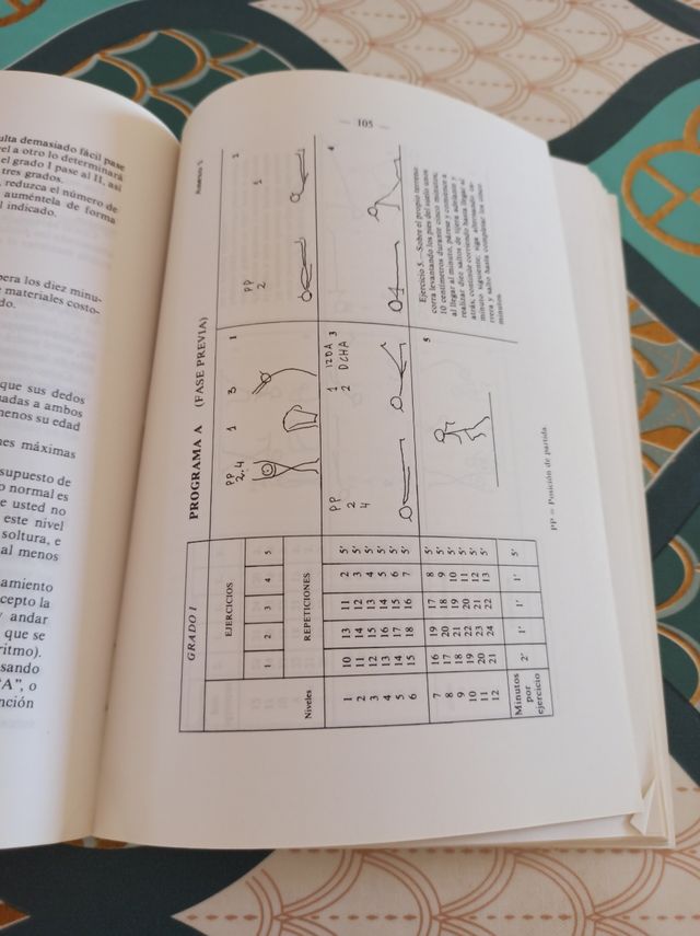 Manual Pruebas Físicas