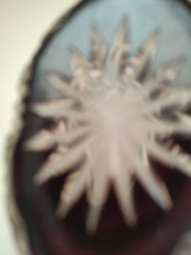 Centro-joyero cristal