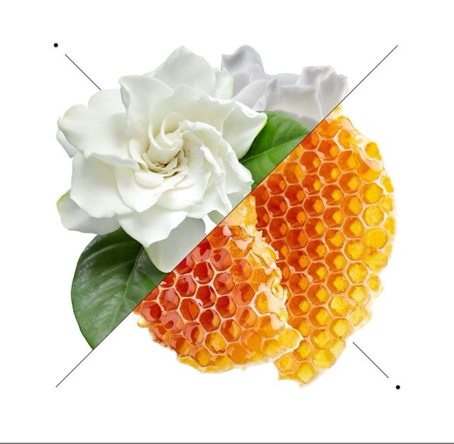 W187-Scandal Jp.Gaultier