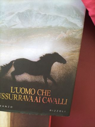 Romanzi 