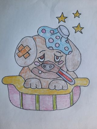 Se pasean perros y Canguro de perros