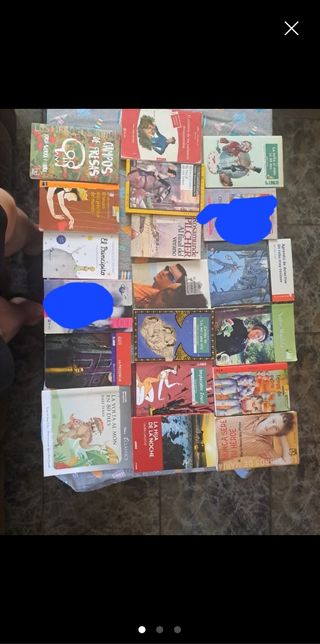 Libros de lectura escolar