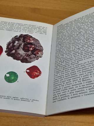 LIBRO PETER HINKS I GIOIELLI