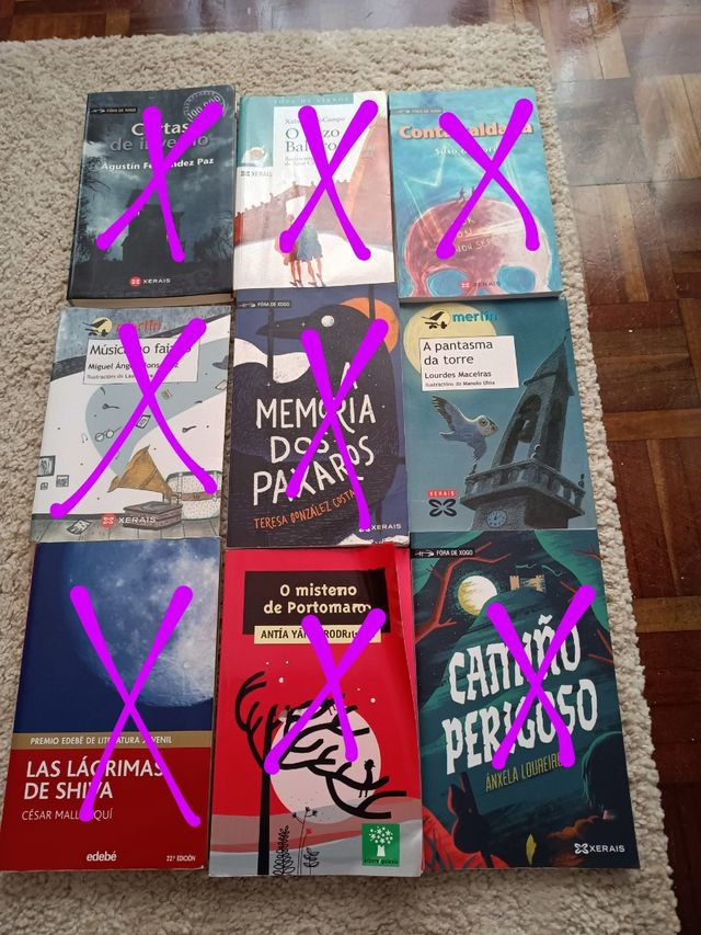 Libros lectura galego 2 ESO