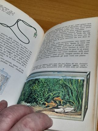 LIBRO STEPHANIE E KEN DENHAN