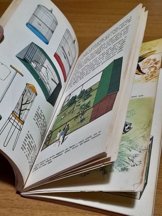 LIBRO STEPHANIE E KEN DENHAN