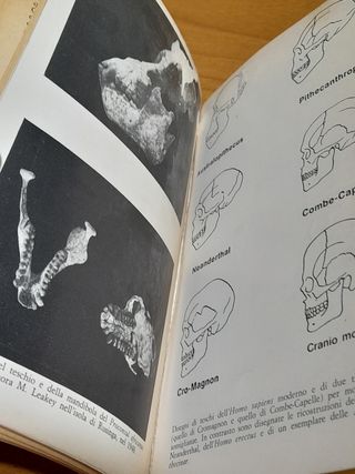 LIBRO LA SCOPERTA DELLE ORIGINI DELL'UOMO