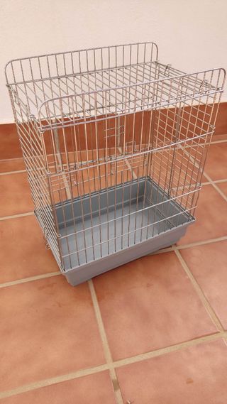 Jaula Agaporni y Complementos
