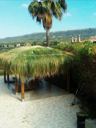 Se hacen sombrillas de brezo.esparto. ect