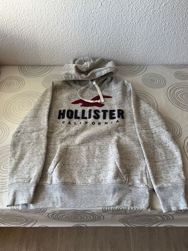 Sudadera Hollister