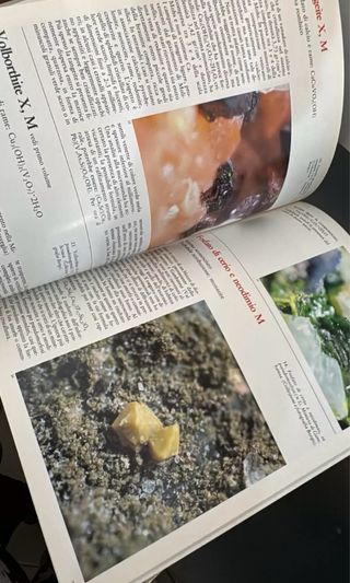 I nostri minerali. Aggiornamento 1988 - liguria