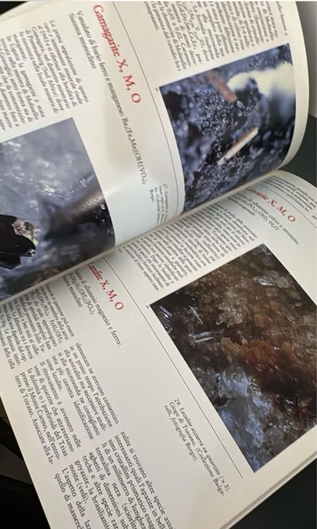 I nostri minerali. Aggiornamento 1988 - liguria