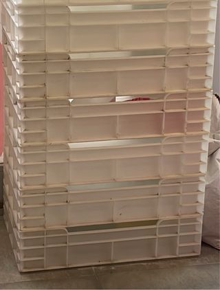 Cajones para masa o derivados de 60x40