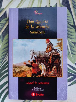 Don Quijote de la Mancha 