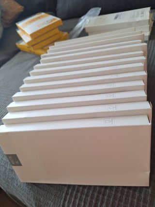 Funda iPhone 12 Pro Max transparente