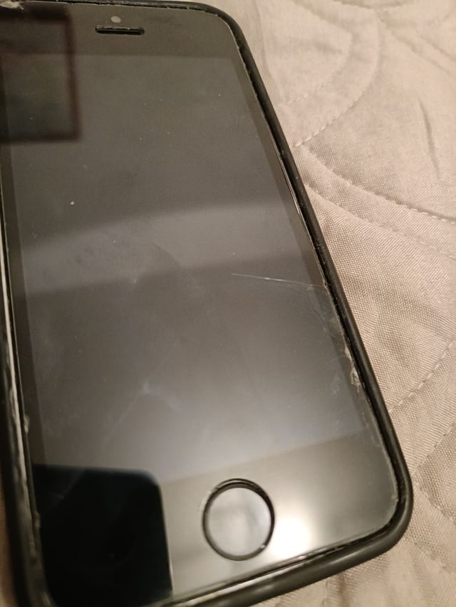 Apple iPhone 5s + cover e caricatore