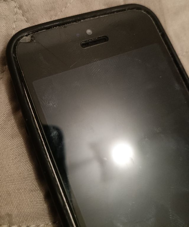 Apple iPhone 5s + cover e caricatore