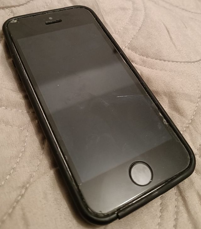 Apple iPhone 5s + cover e caricatore