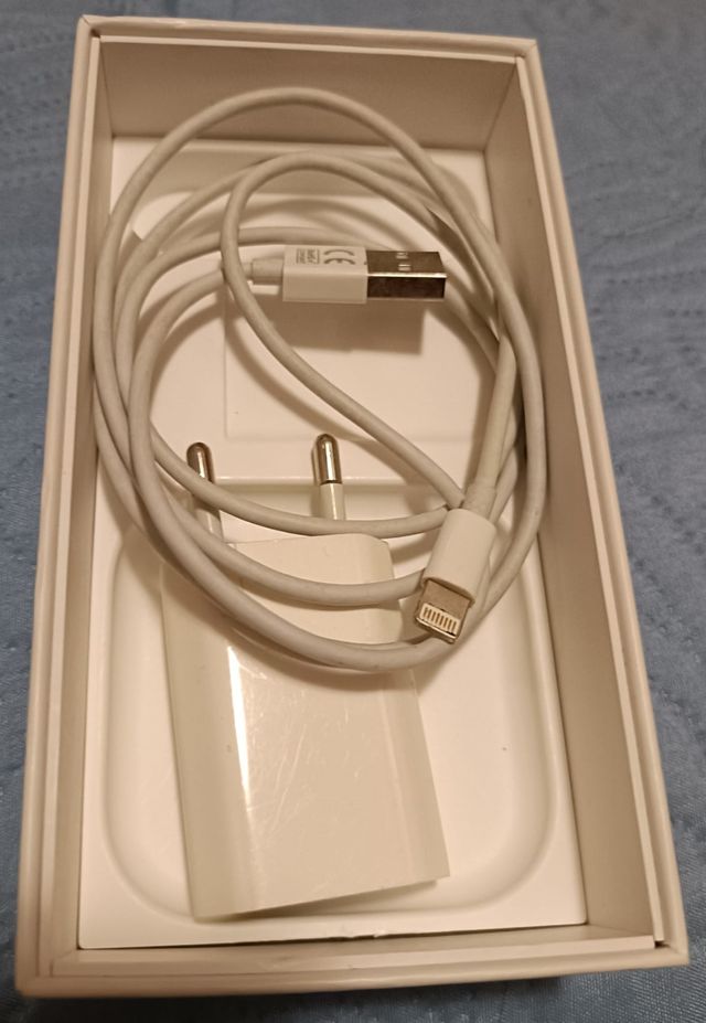 Apple iPhone 5s + cover e caricatore